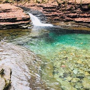 Meet your Posher, Cameron